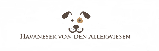 Logo Havaneser von den Allerwiesen 